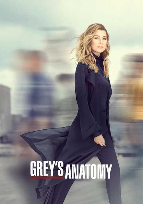 Grey's Anatomy Grey's Anatomy